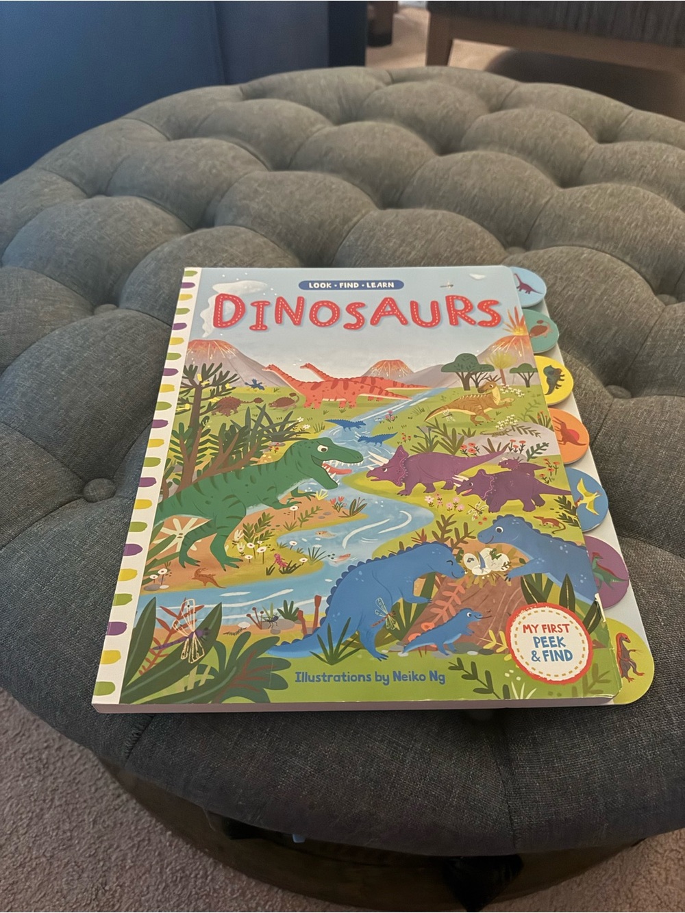 Dinosaurs Peek & Find Board Book - Colorful Multicolor